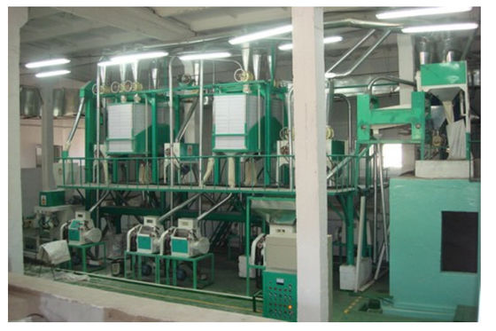 China High Speed Vermicelli Production Line Low Energy / Space Consumption supplier