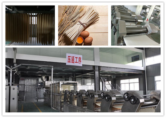 China CE ISO Pasta Dryer Machine Dried Stick Fully Automatic Noodles Making Machine supplier