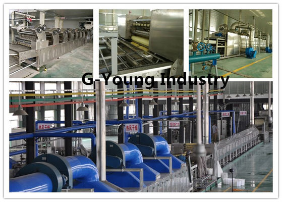 China Large Capacity Noodles Manufacturing Plant For Oil Frying Instant Noodle supplier