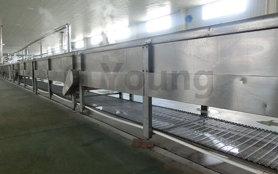 China High Tech Fully Automatic Noodles Making Machine &amp; Fried Noodles Production Line supplier