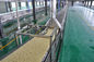 Electric Wheat Flour Fried Instant Noodle Production Line Equipment supplier