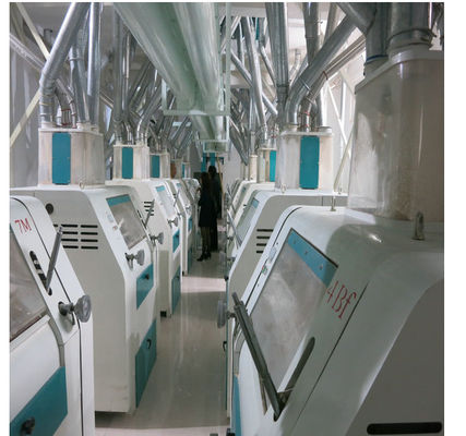 China High Precision Automatic Noodle Making Machine Low Energy / Labor Consumption supplier